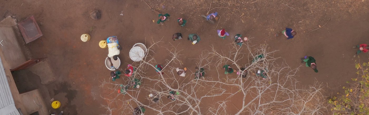 Website design update met content