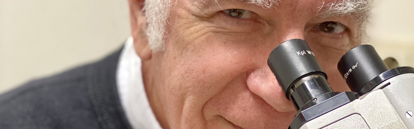 Wikipedia artikel schrijven