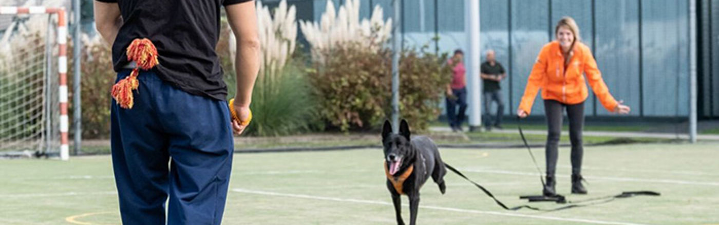 Strategisch advies Commerciële markt