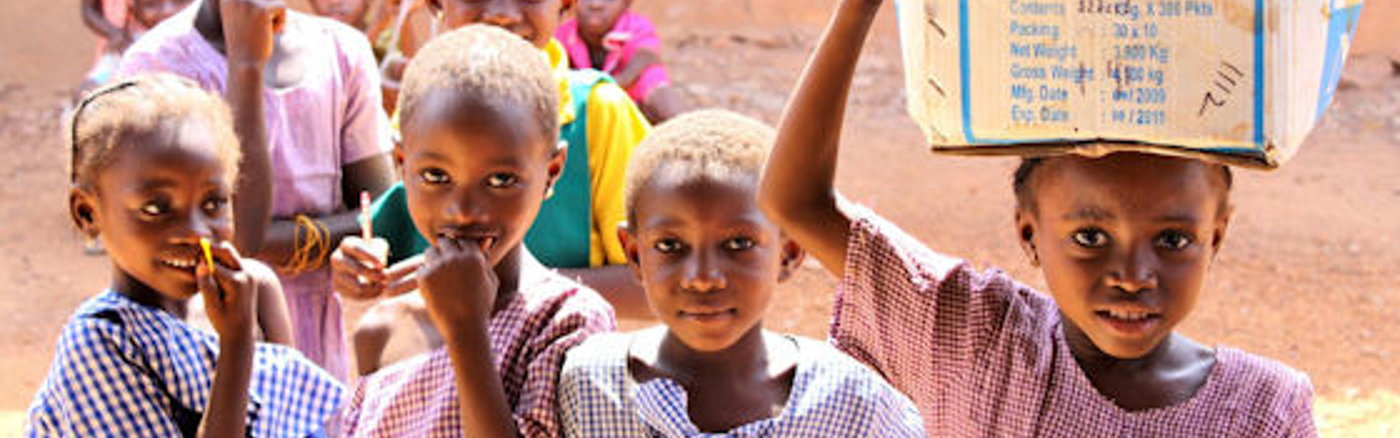 Nieuw Wordpress website design