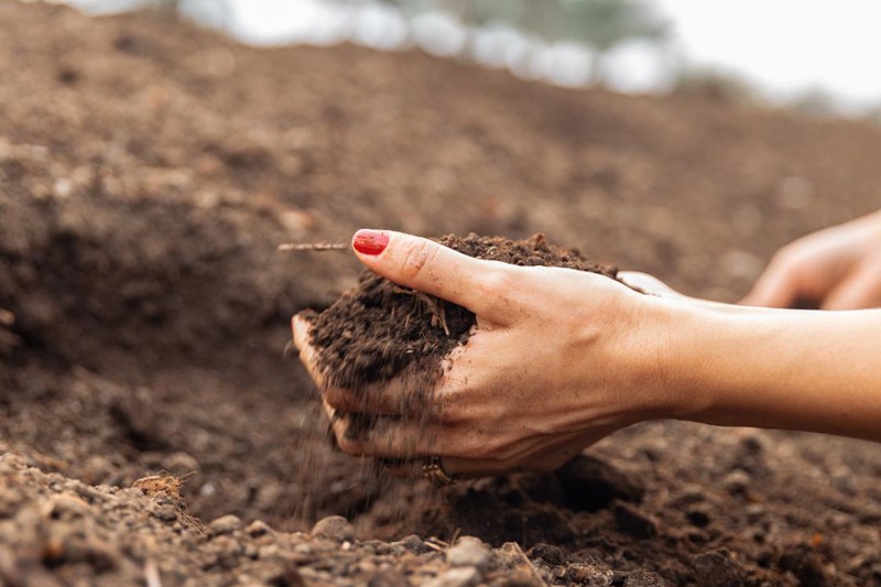 True Price Foundation