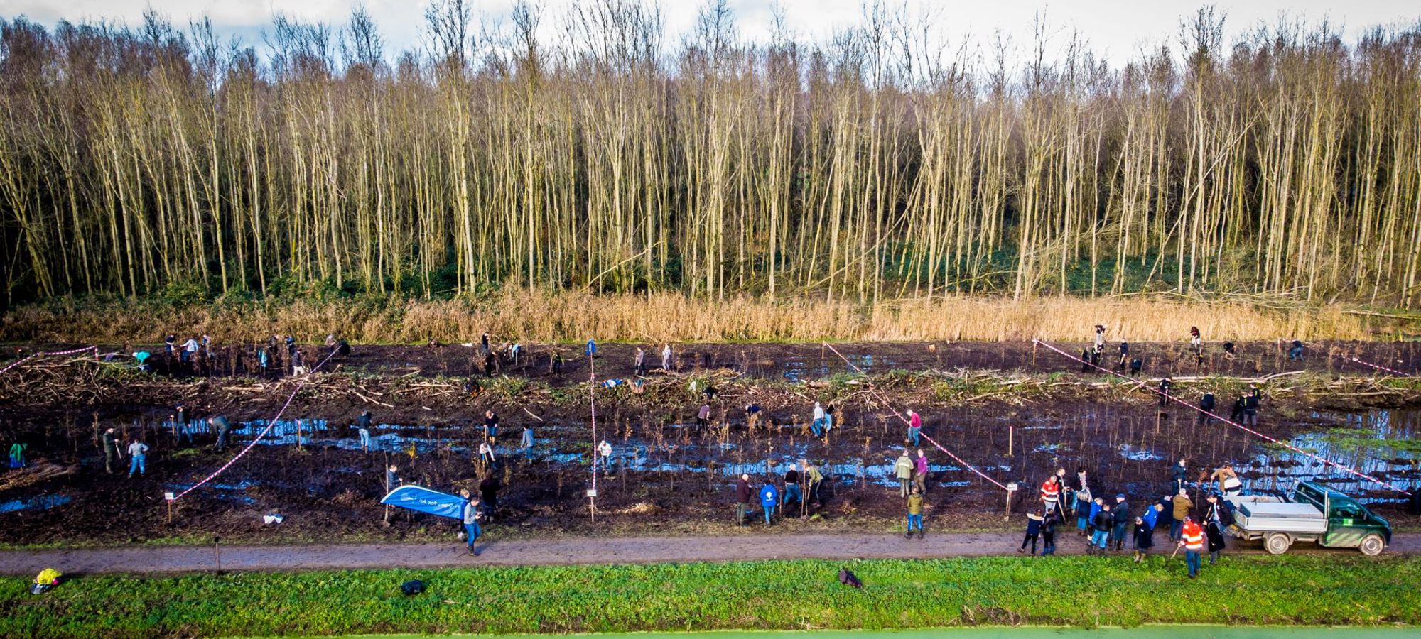 Bomen Planten 29 November Trees For All (21)