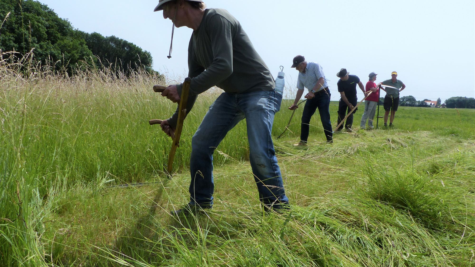 Landschapsbeheer Flevoland