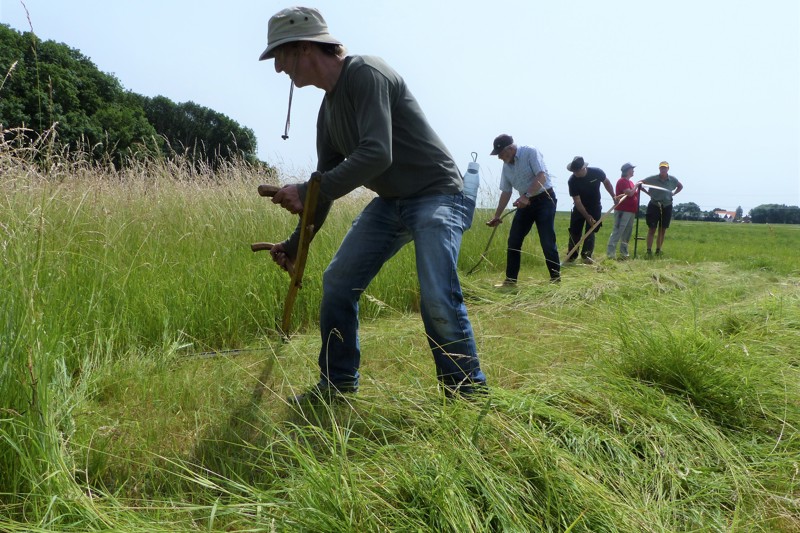 Landschapsbeheer Flevoland