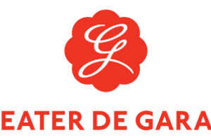 Heidag Procesbegeleiding Theaterplan