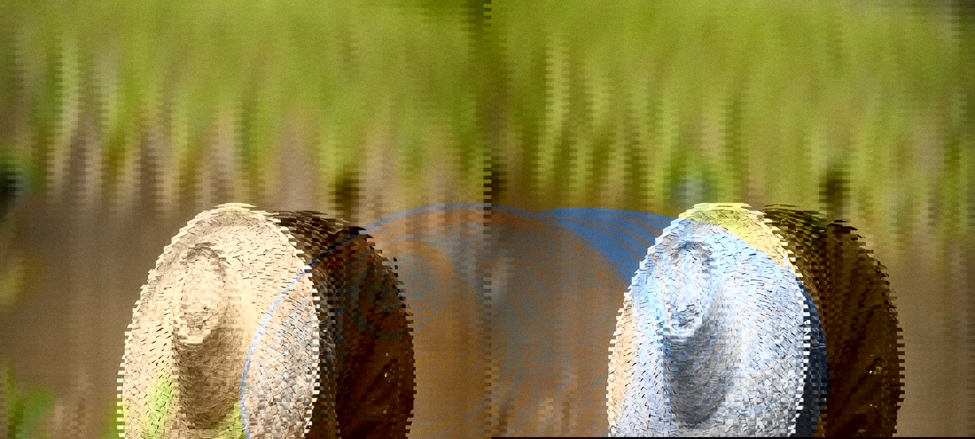 Eduardo Prim 3U51 Ulqicc Unsplash
