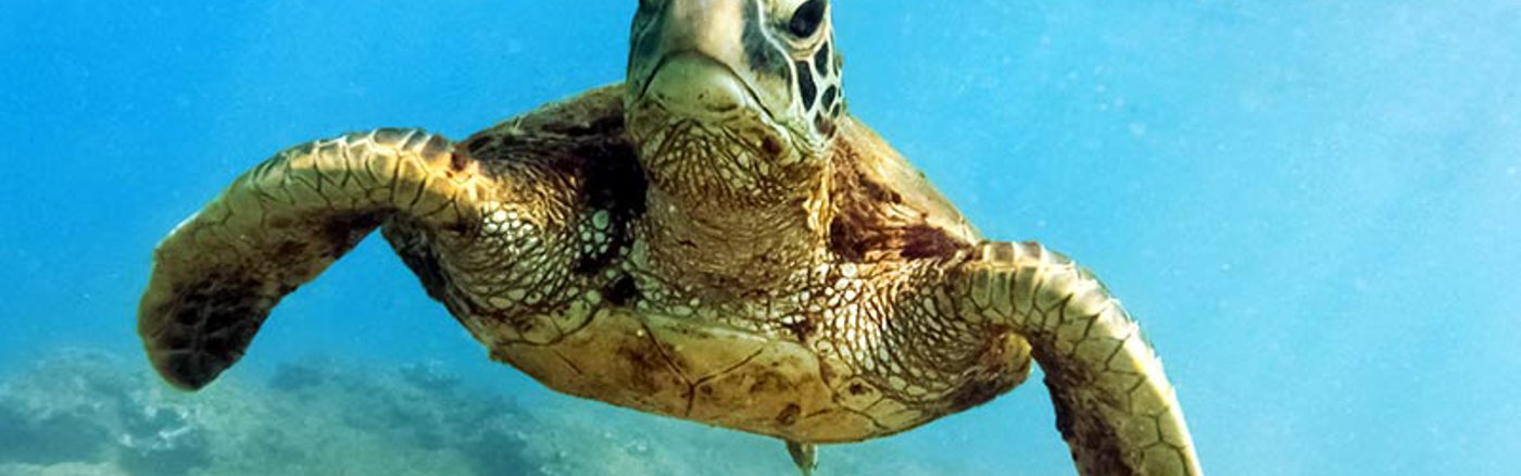 Strategische sessies: Partnerships 