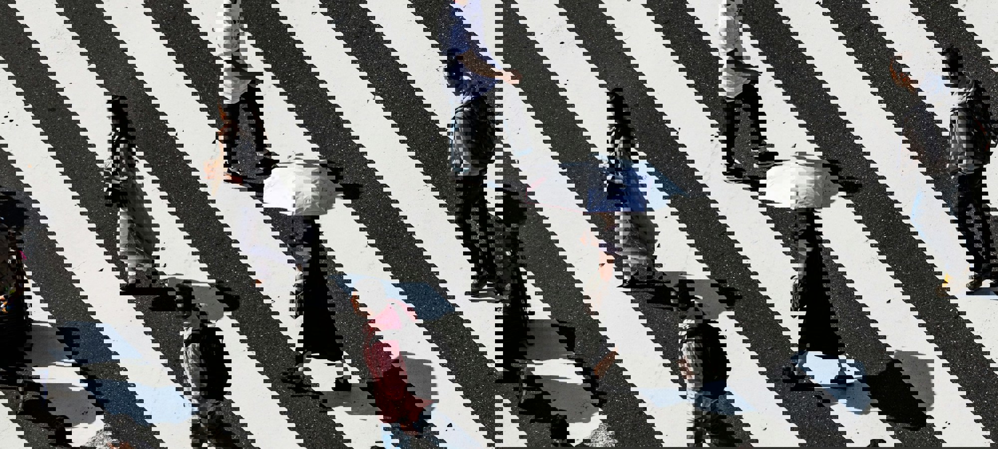 46d28c83-a23c-41c0-b13e-84b426ad6d5d