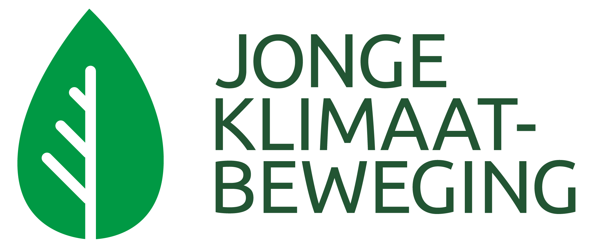De Jonge Klimaatbeweging