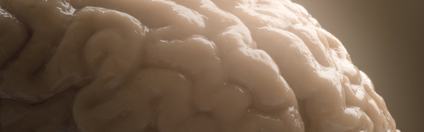 Fotoshoot op locatie