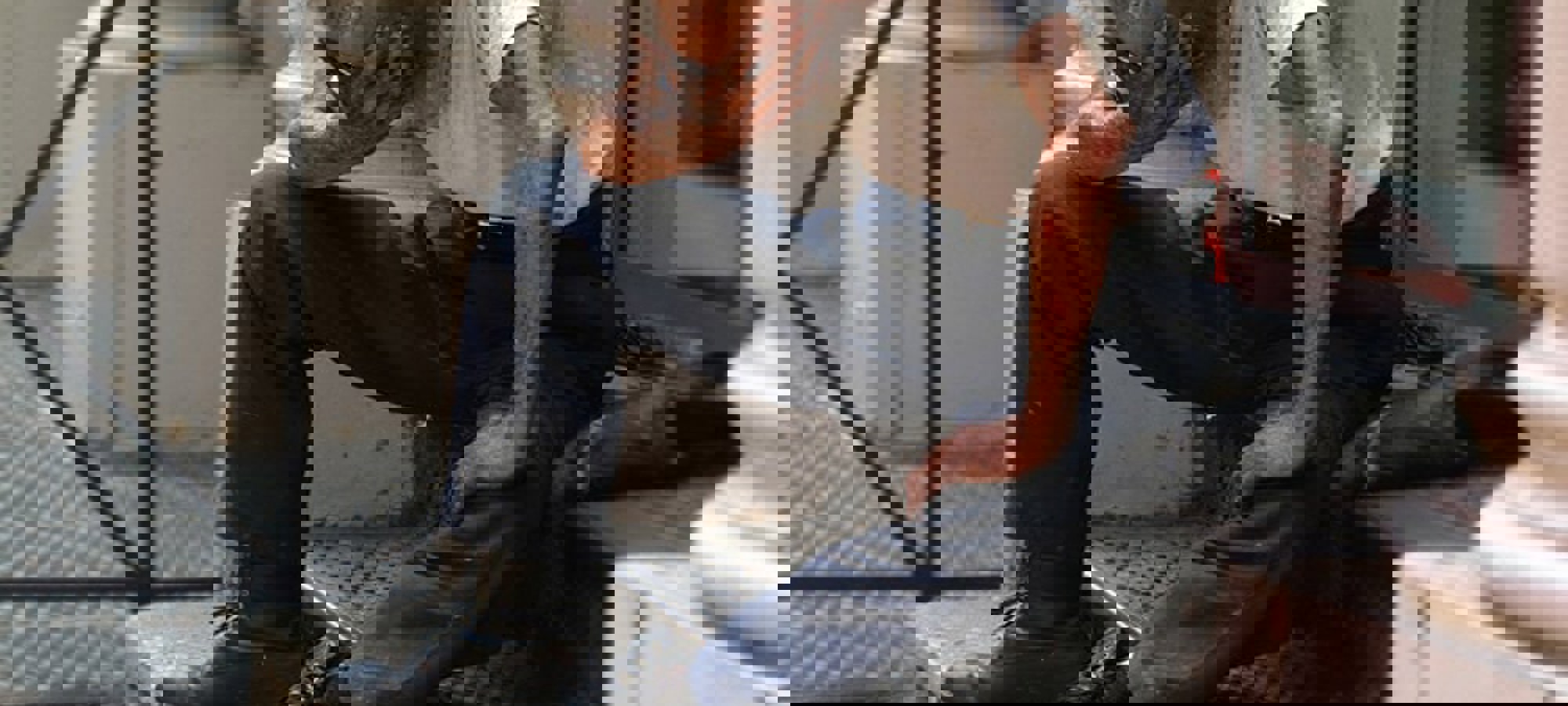 2595ac46-b408-42ab-8561-f83bd196d93f