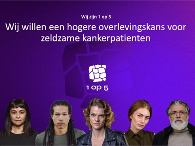 Website Analyse & Advies