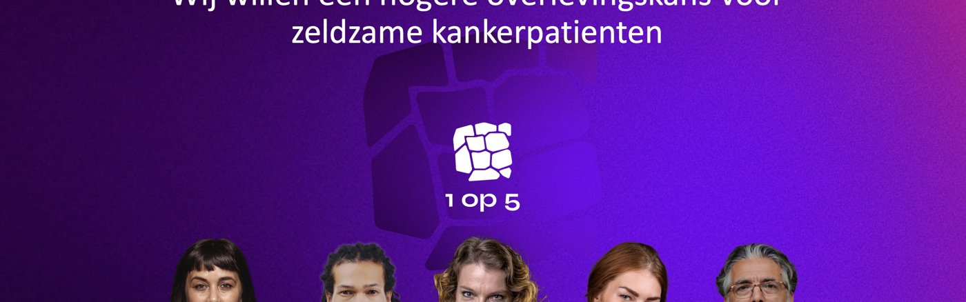 Website Analyse & Advies