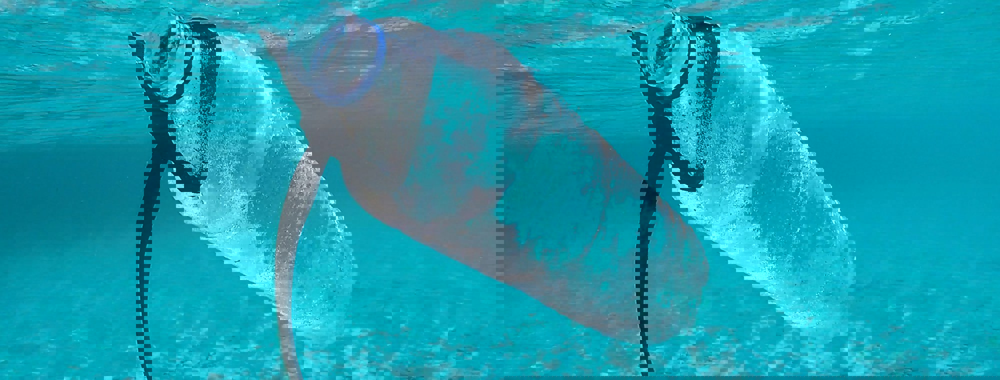 53e6e020-bd3f-43c7-a376-ac71d162f802