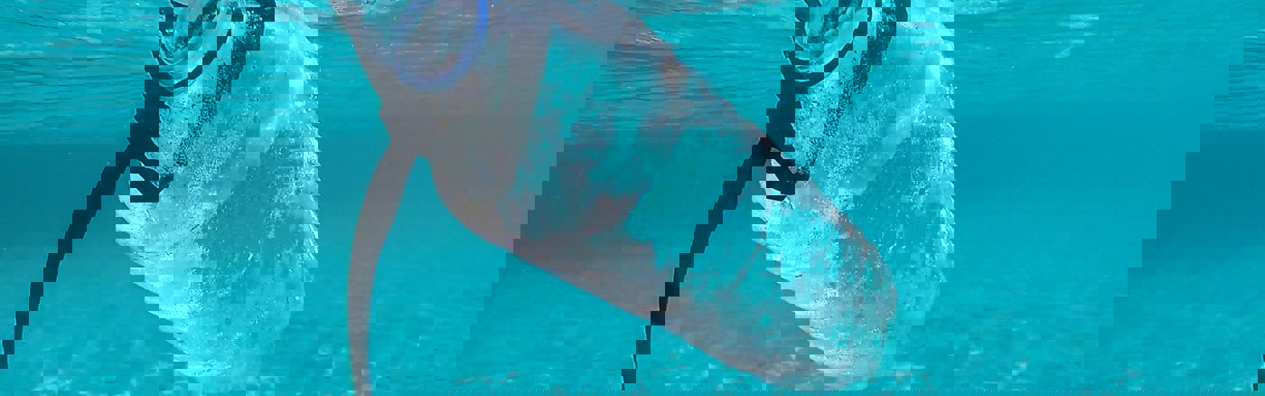 Interim vrijwilliger: Finance Specialist