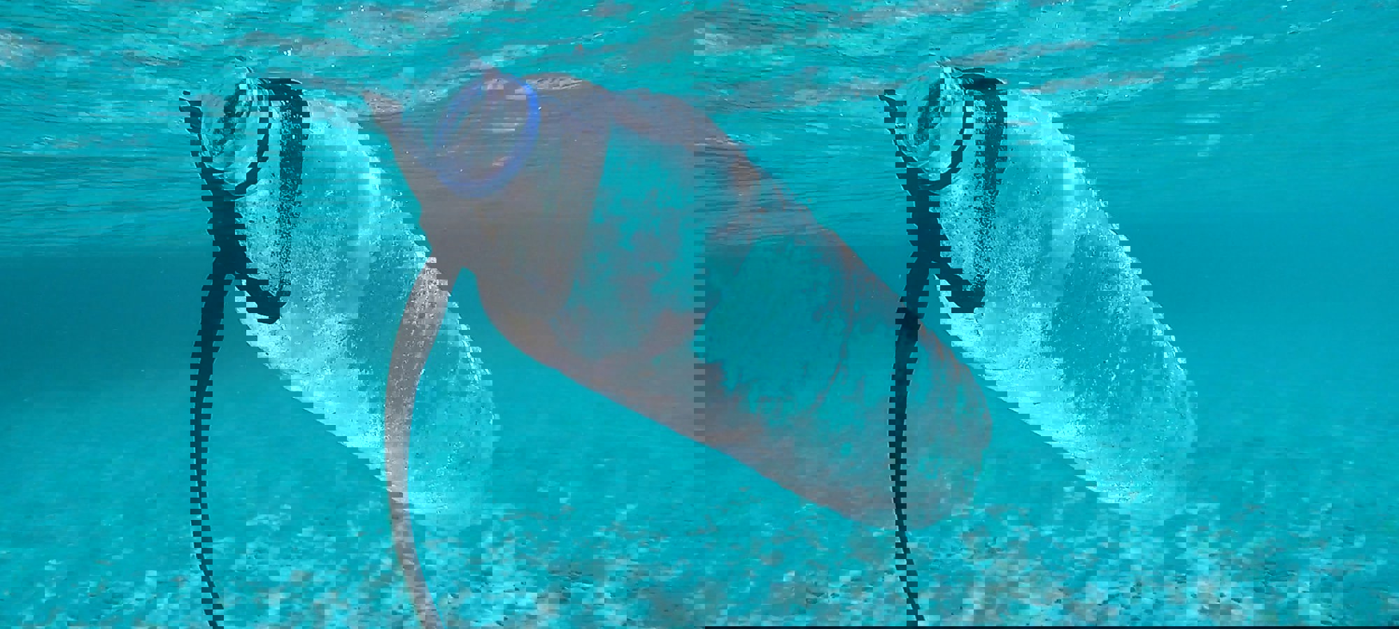 53e6e020-bd3f-43c7-a376-ac71d162f802