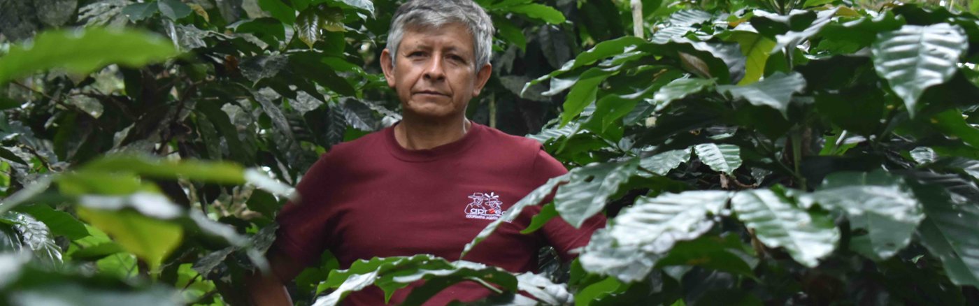 Consult: analyse huidige Wordpress thema