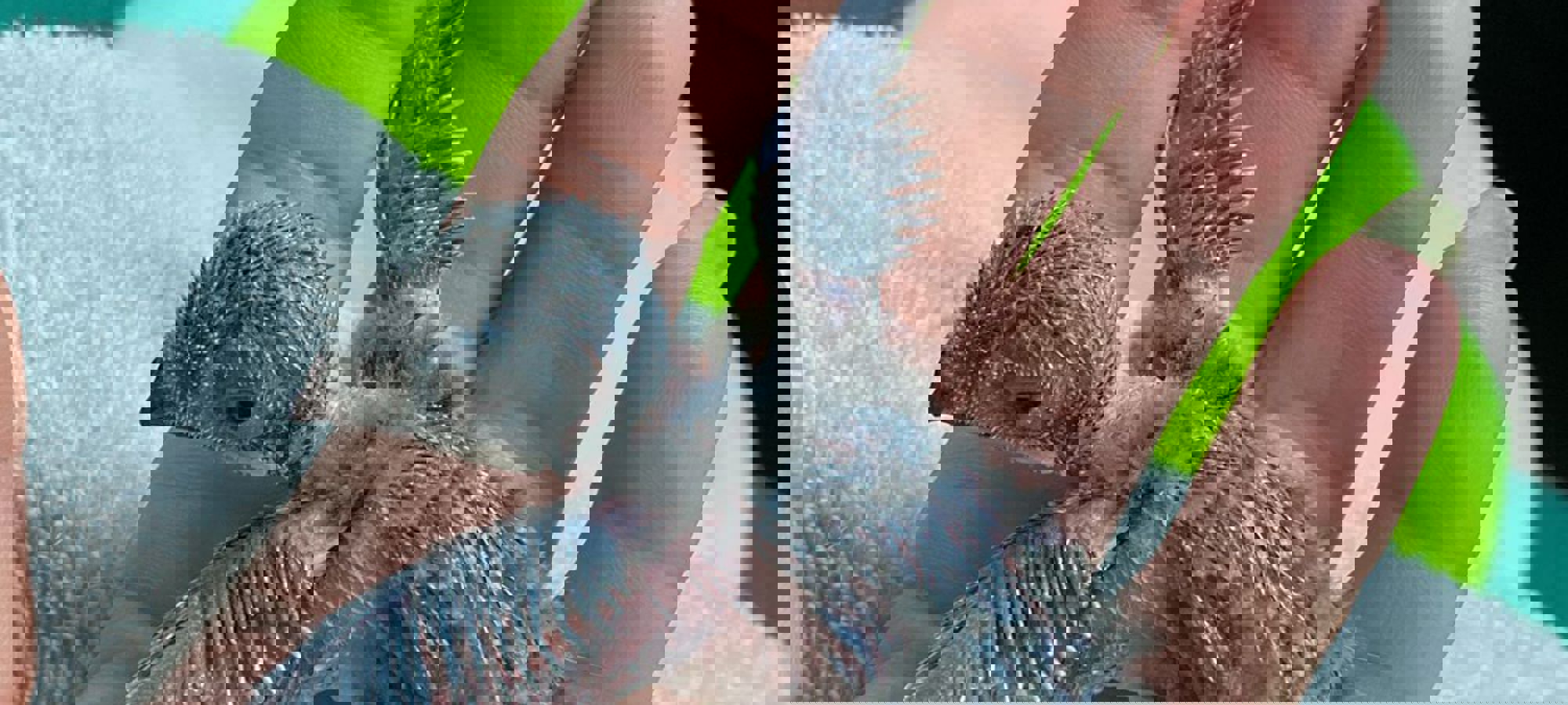 7c26681d-dfab-466f-bb1d-dcad9bb77278