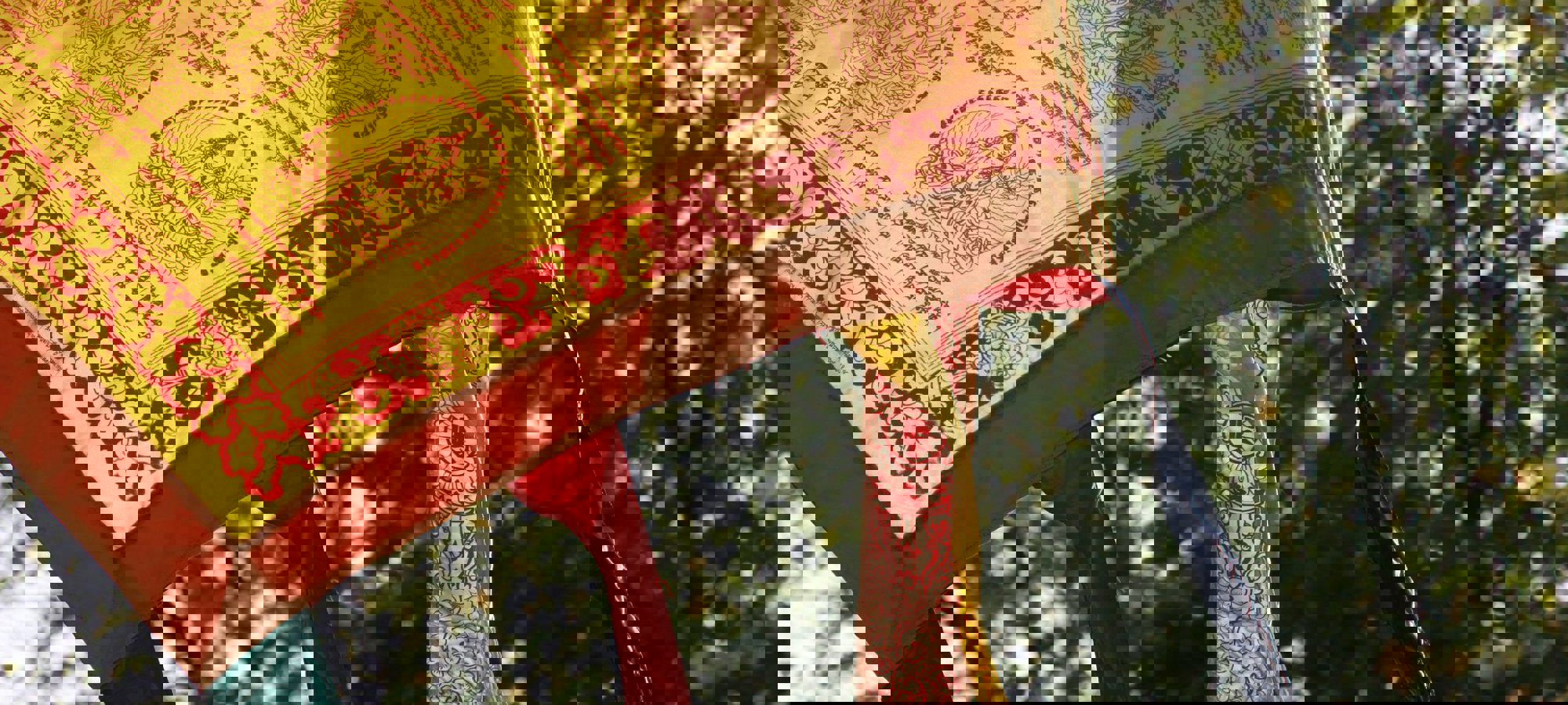 62a24b91-9d23-4225-9f7a-7f98eefd2f0a