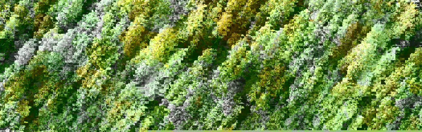 Onepage Wordpress Website 