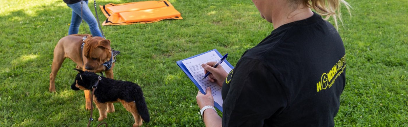 Interim vrijwilliger: Web Developer / Designer