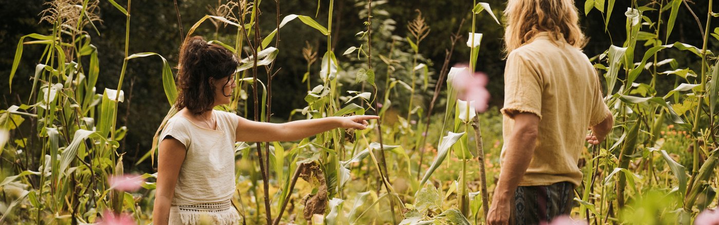 Social Media Strategie voor Le Rêve de Gaïa