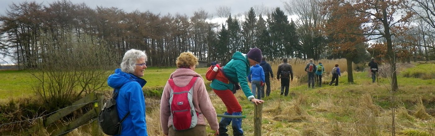 Groepswandelingen
