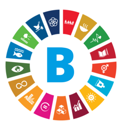 Buddy Netwerk SDG 2030