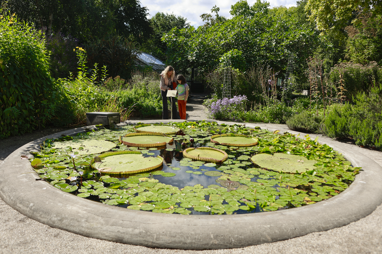 UI/UX Advies Voor Hortus Academie