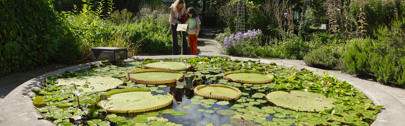 UI/UX Advies Voor Hortus Academie