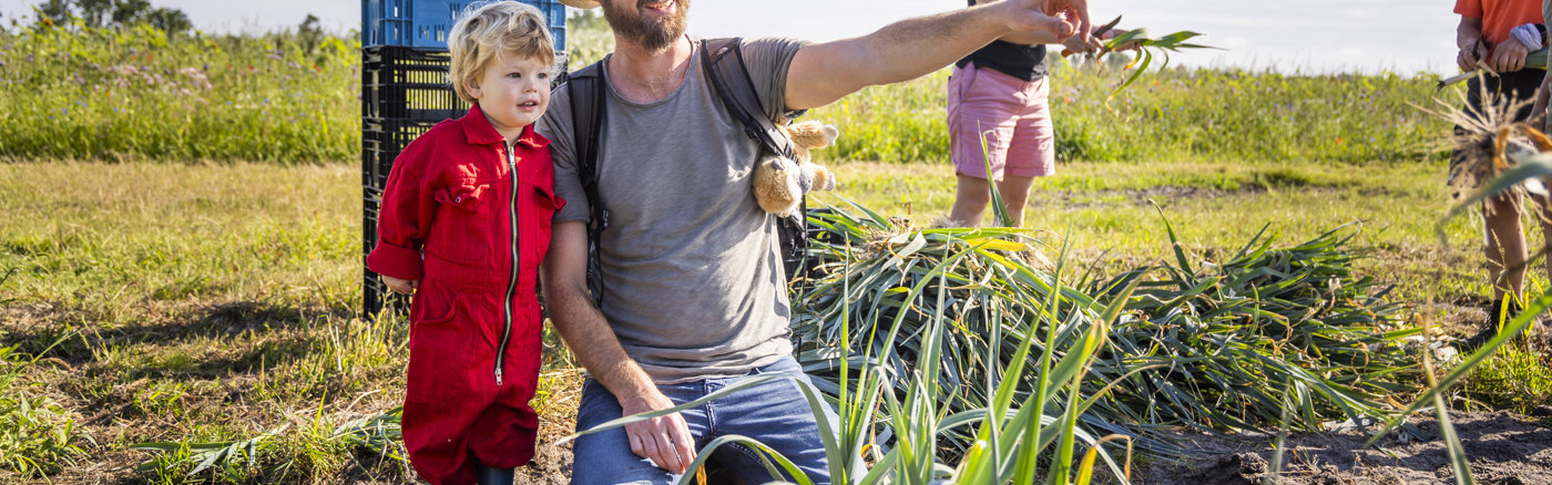 Creatief campagne concept