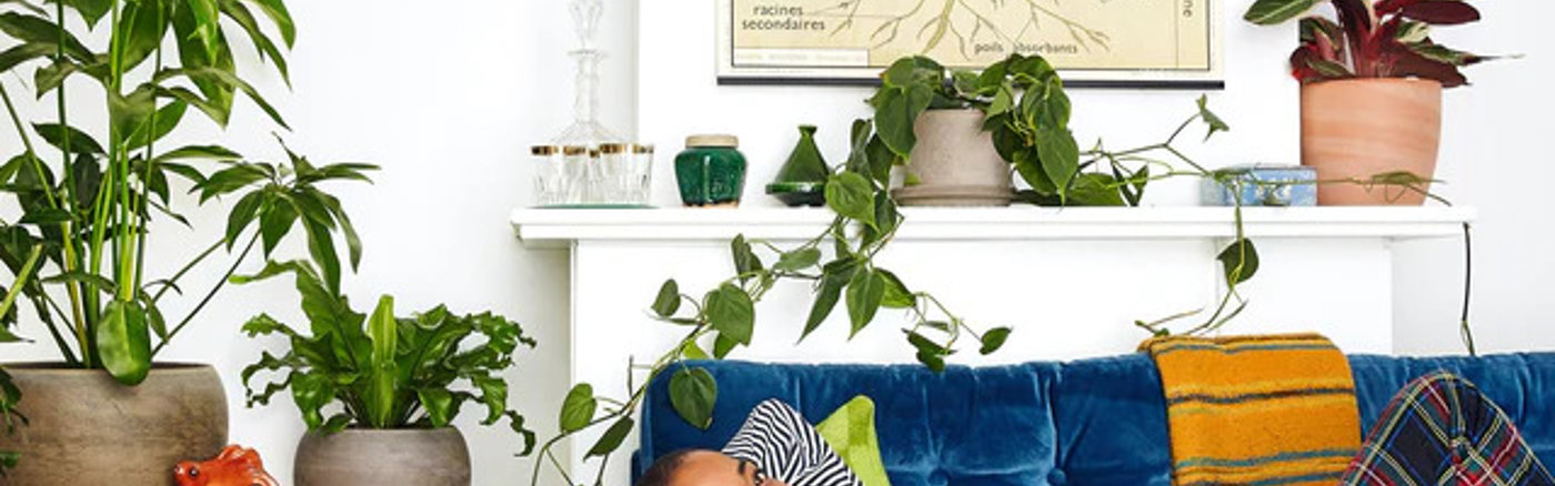 Fotoshoot steward-ownership