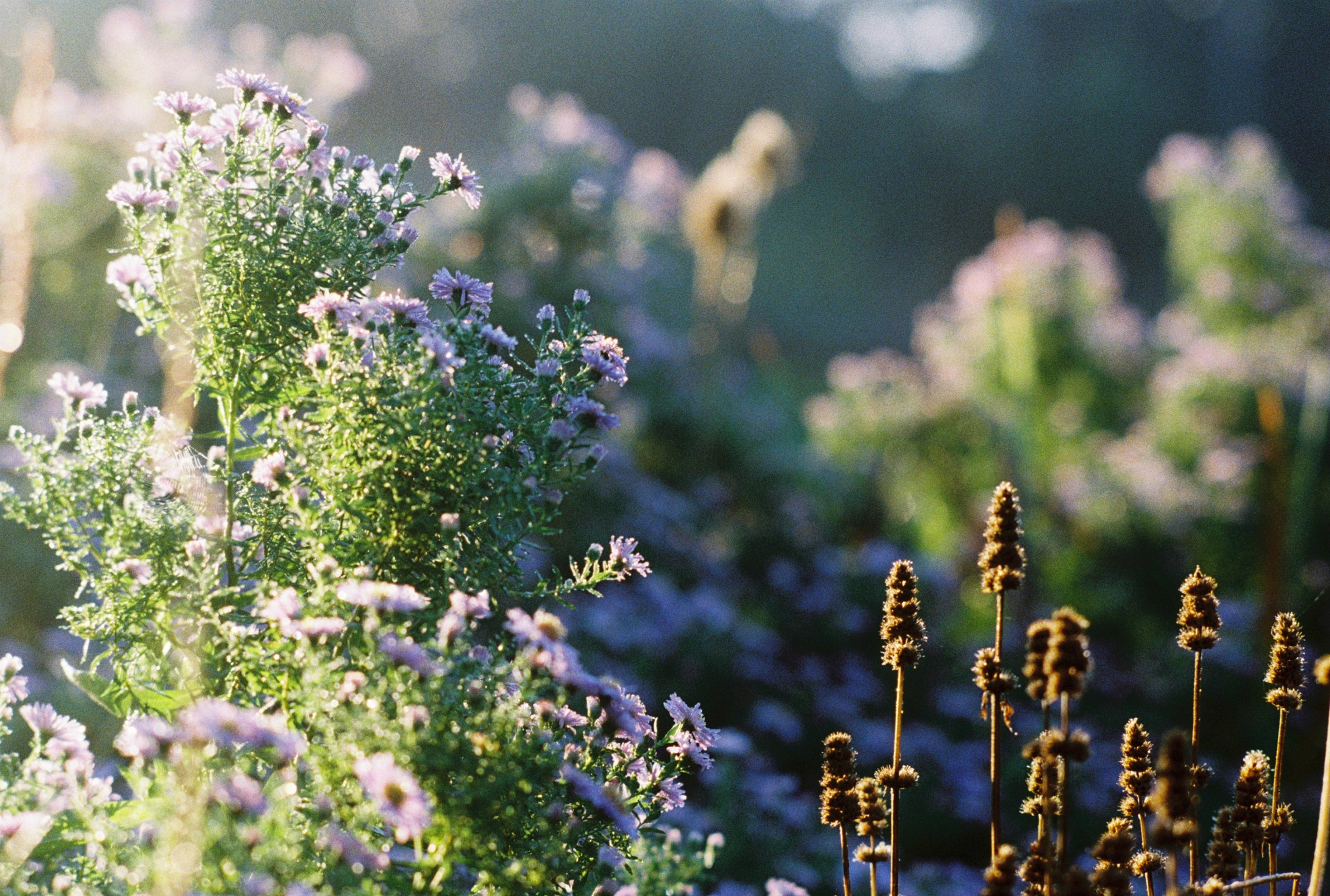 Chemicus / Procestechnoloog Schoon Water