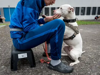 Plan voor lezingenreeks opzetten