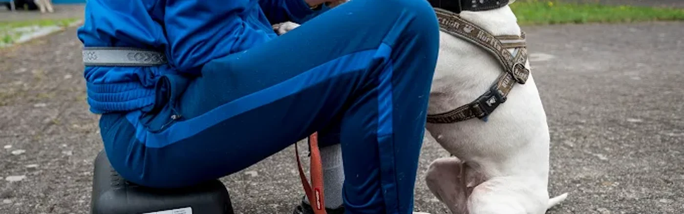 Plan voor lezingenreeks opzetten