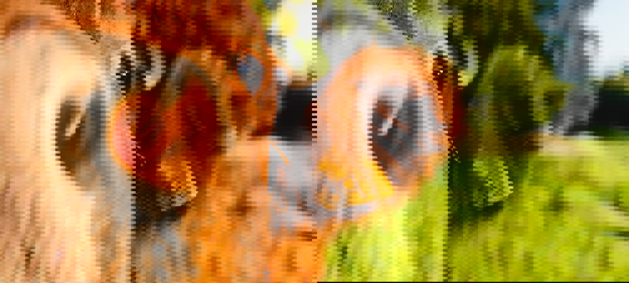 df975375-00cb-4866-ba36-87f100c7f6e9