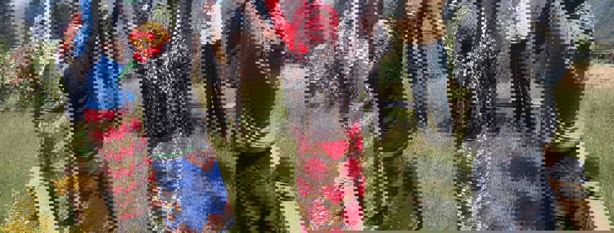 a201a234-0c54-433b-b942-d19c8569114b