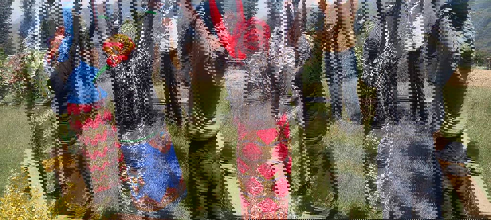 a201a234-0c54-433b-b942-d19c8569114b