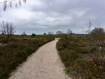 Vrijwilligerswerk in Zeist