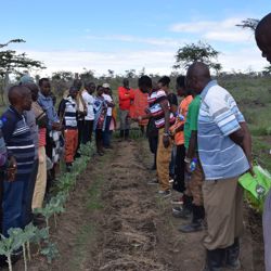 Training permaculture