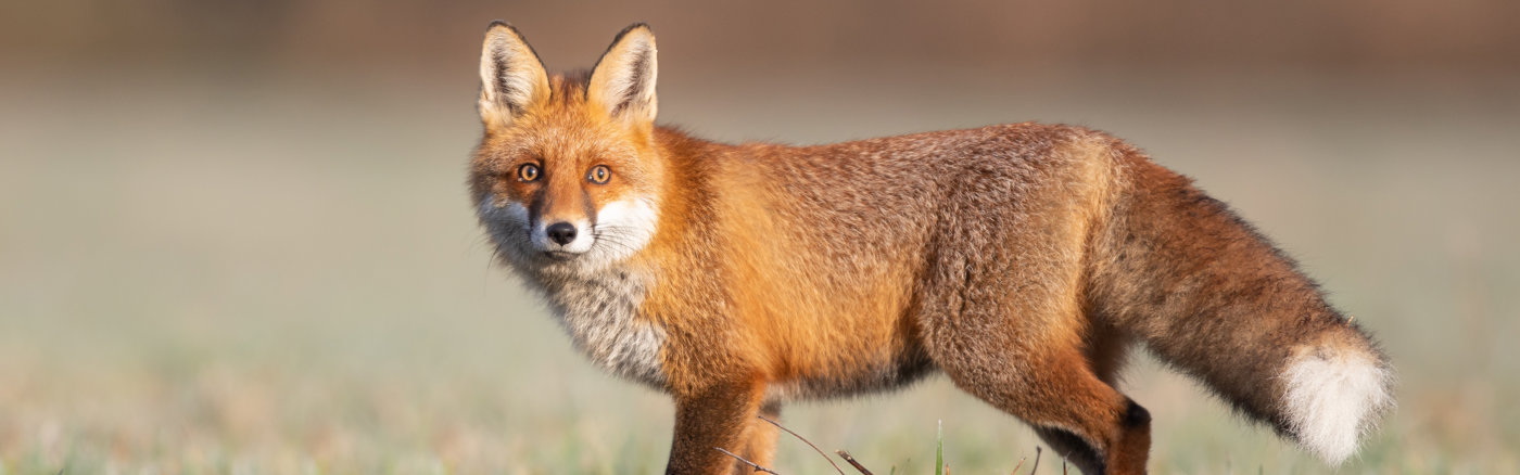 Jaarverslag ontwerpen