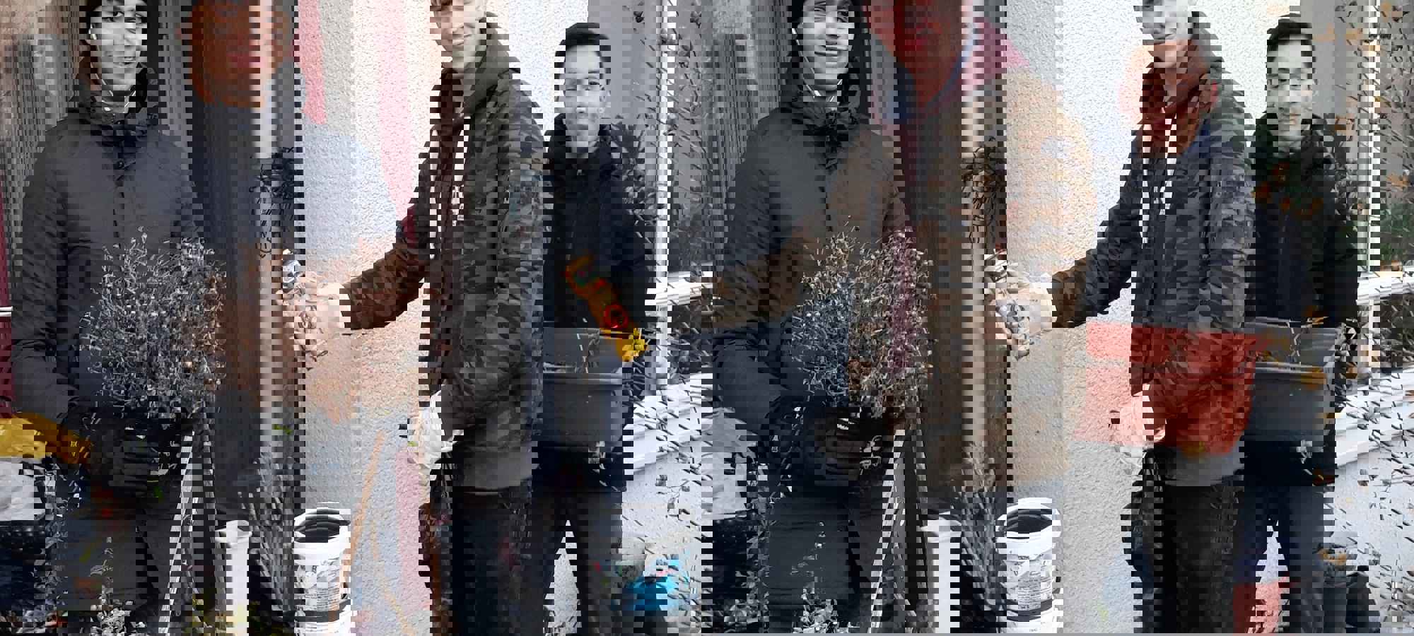 303332c3-c527-4efd-9221-670947a3acfe