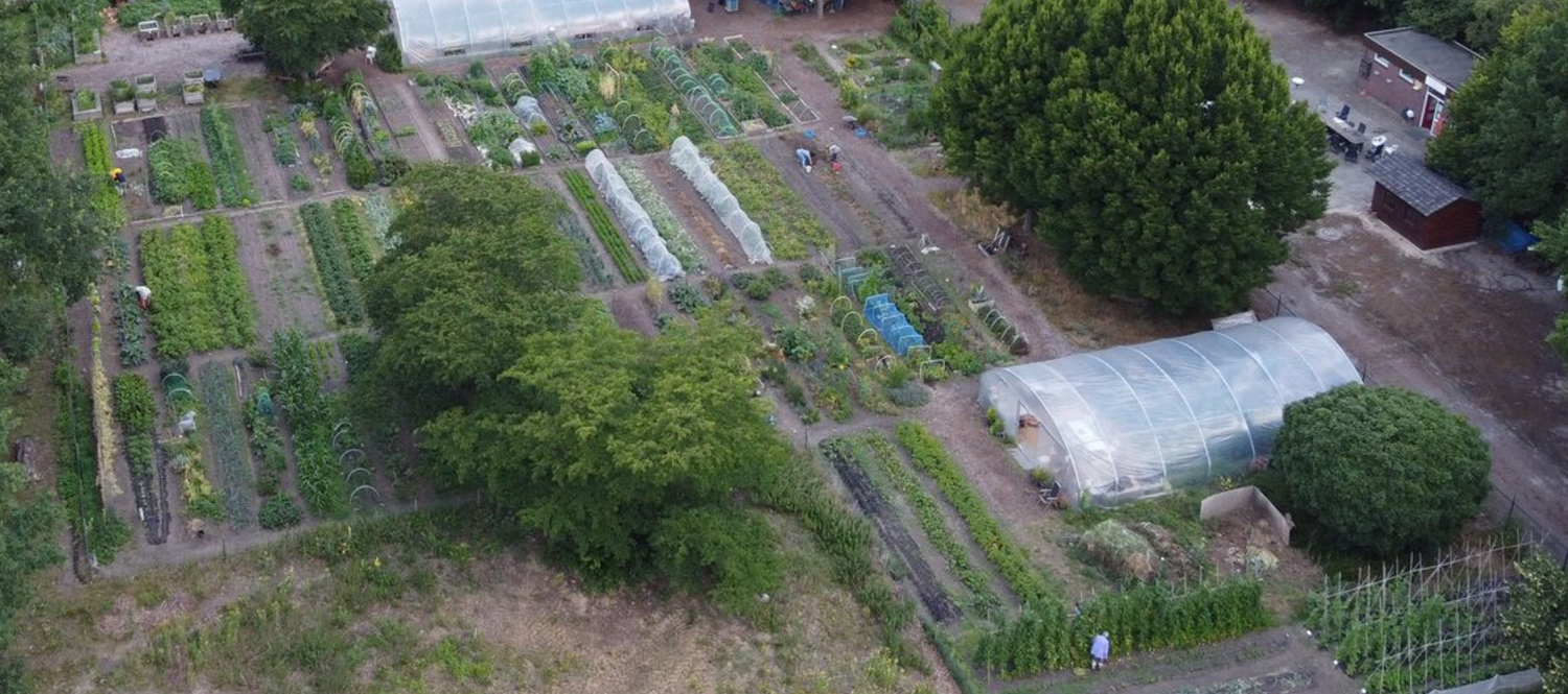 Vereniging Stadstuinderij Venlo