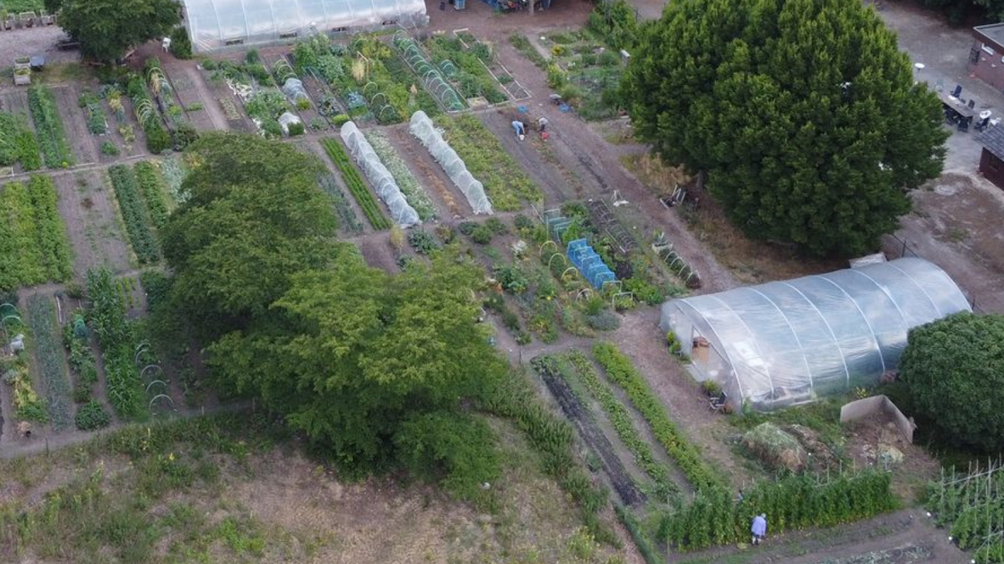 Vereniging Stadstuinderij Venlo