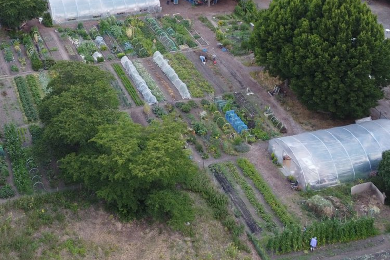 Vereniging Stadstuinderij Venlo