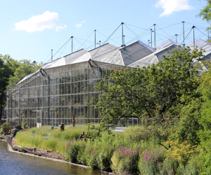 Hortus Botanicus Amsterdam