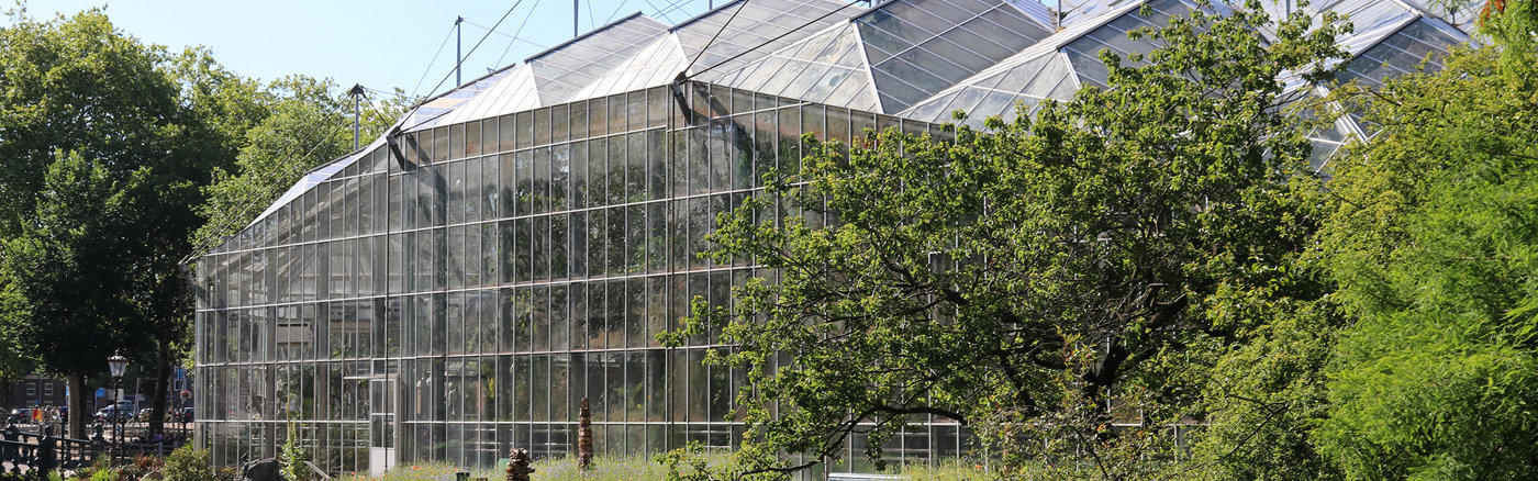 Redigeren van teksten