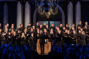 YouTube strategie voor Laurens Vocaal