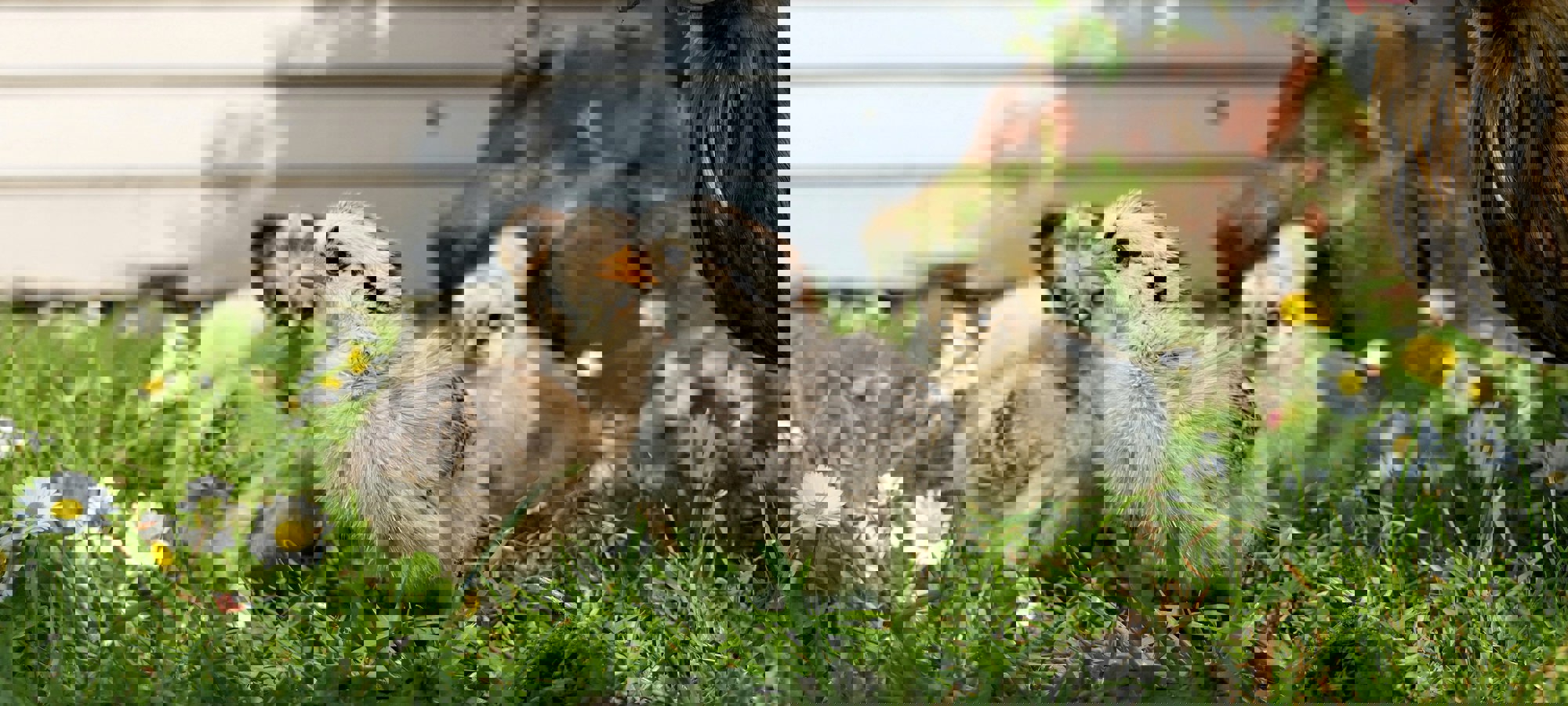 Andrea Lightfoot K2y6sblgd48 Unsplash