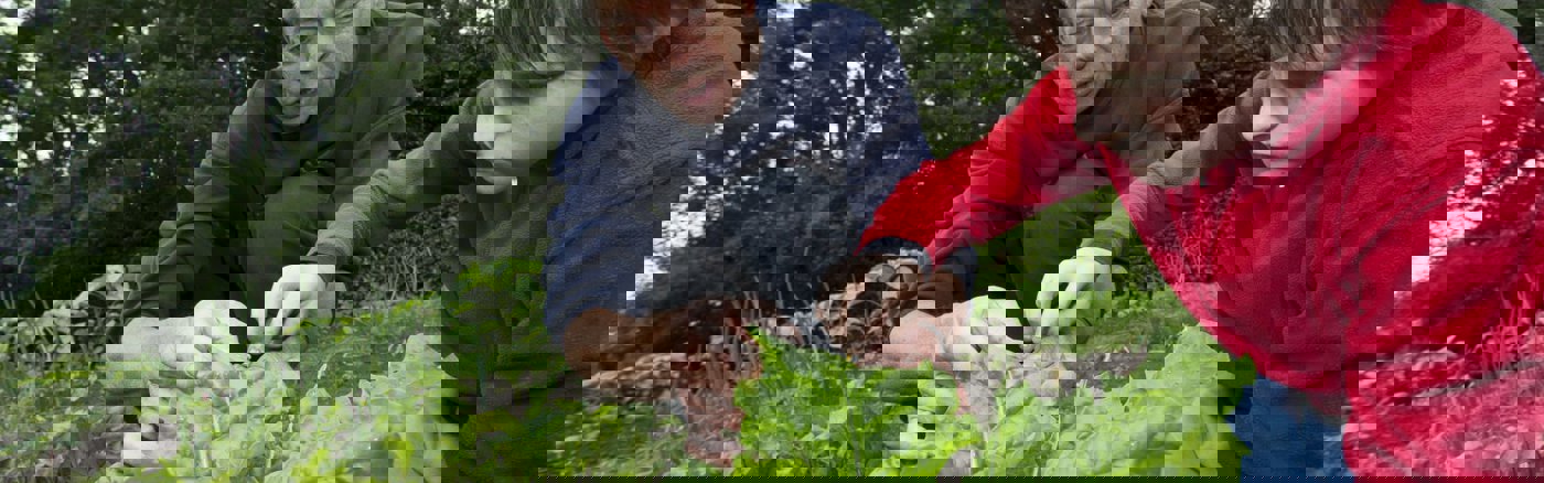 Social Media post templates